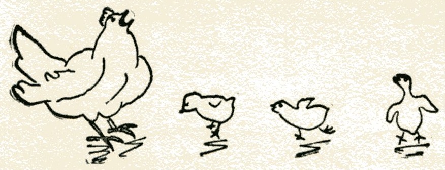 Chickens from 'Daddy-Long-Legs' by Jean Webster